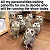 Post: Owl About Me#Humour #Funny #Comedy